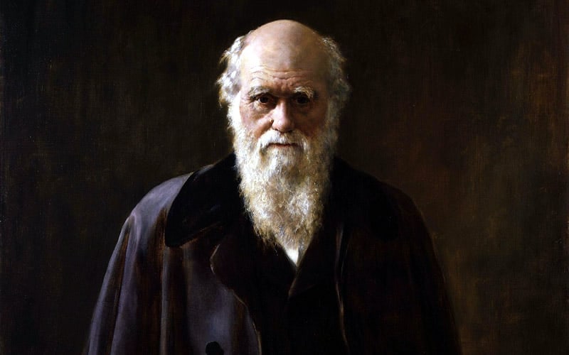 International Darwin Day