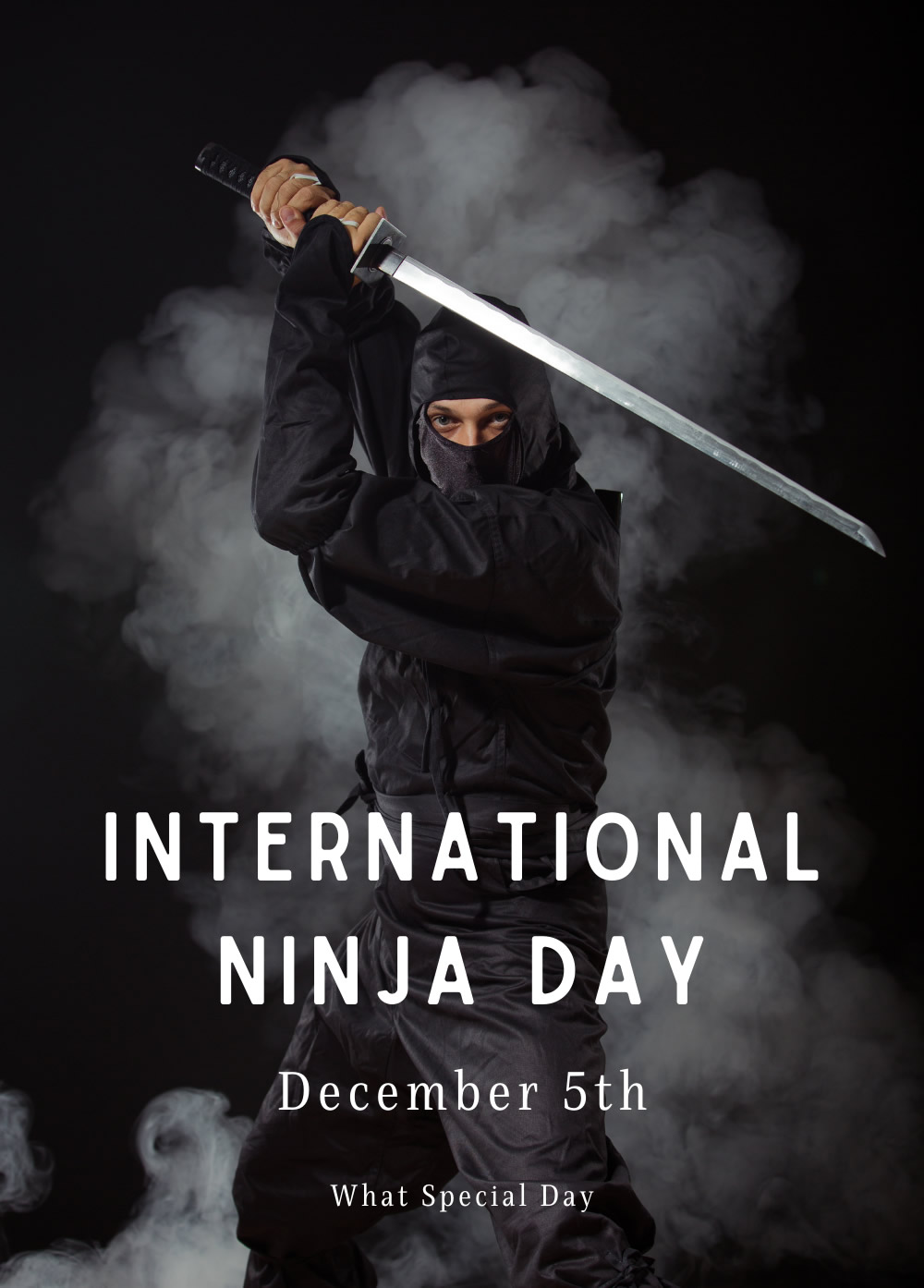 International Ninja Day (Dec 5th) What Special Day