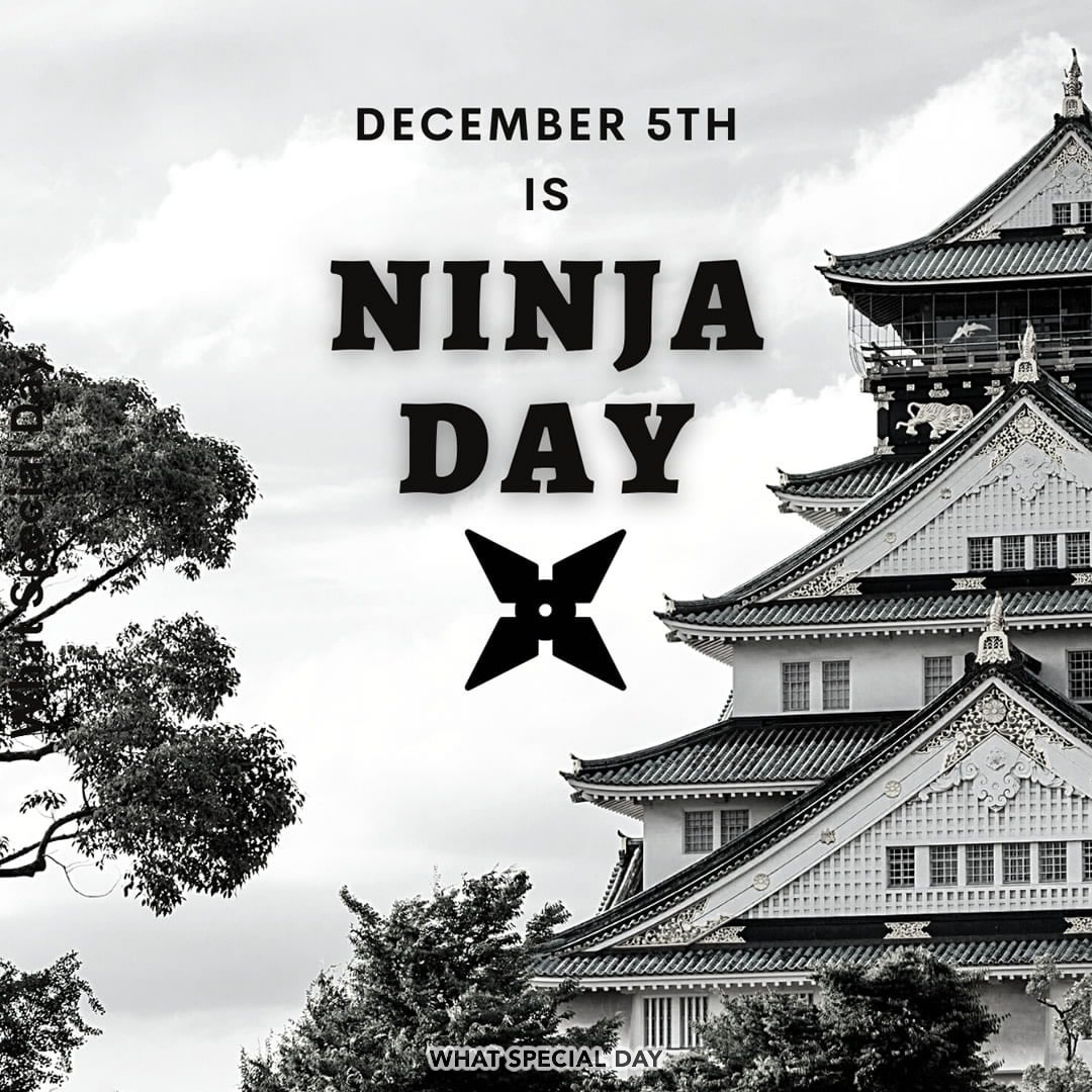 December 5th is Ninja Day