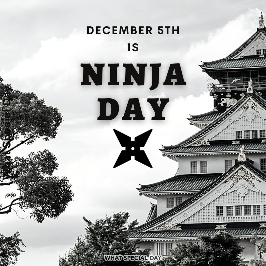 International Ninja Day (Dec 5th) What Special Day