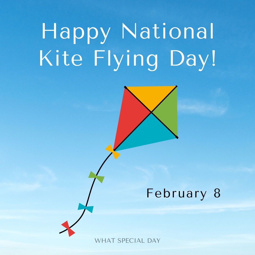 National Kite Flying Day image 1